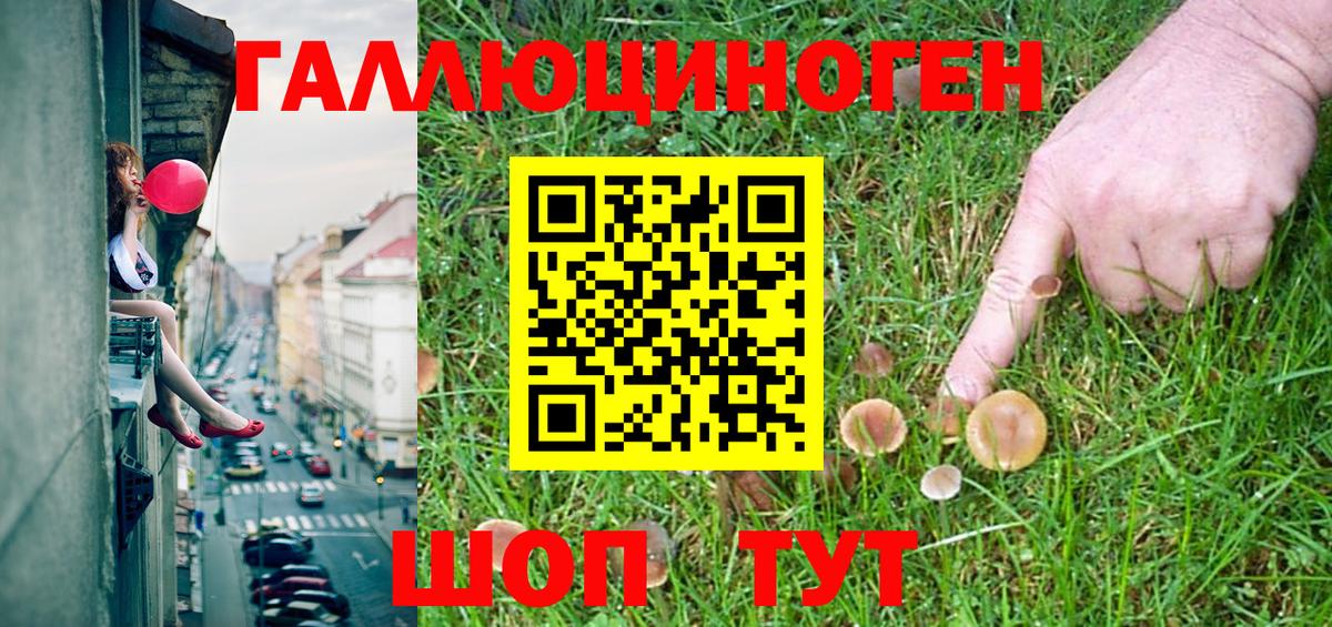 где найти наркотики  Вход с VPN  Мичуринск  Псилоцибиновые грибы Psilocybine cubensis 